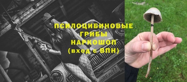 прущий лед Аркадак